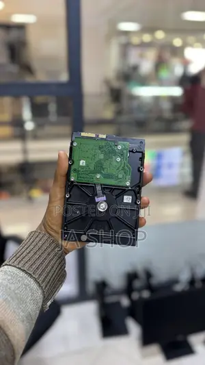 Seagate Video 3.5 Hdd (500gb)