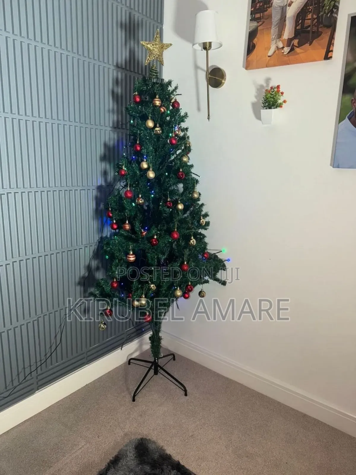 Christmas Trees Available