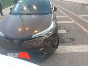 Toyota C-HR 2017 Brown