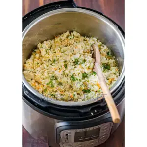 Sanford Electrical Instant Pressure Cooker