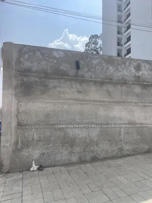 Photo - 1,200sqm Land for Sale - Setoch Adebabay |