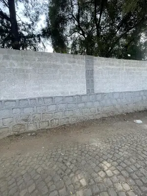 1,200sqm Land for Sale - Setoch Adebabay