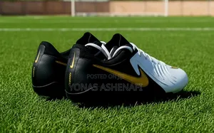 Nike Phantom Luna 2 Elite Fg (Firm Ground).
