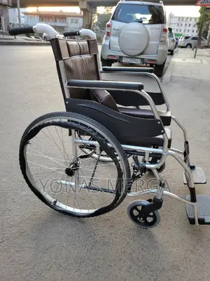 Toilet Wheelchair風能commode Toilet容变chrome Stainless