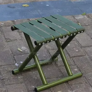 Mini Foldable Chair/Stool