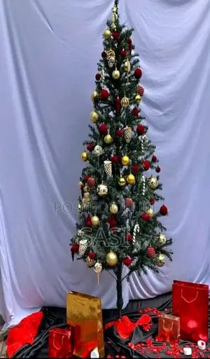 Photo - Christmas Tree