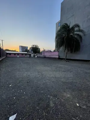 700sqm Car Showroom for Rent – Meskel Flower