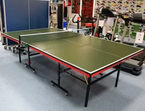 Table Tennis Table