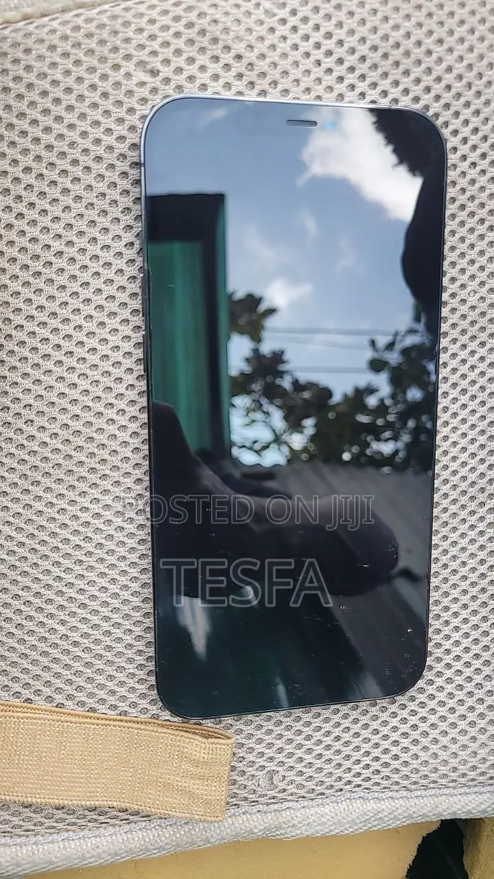 Apple iPhone 12 Pro Max 256 GB Black