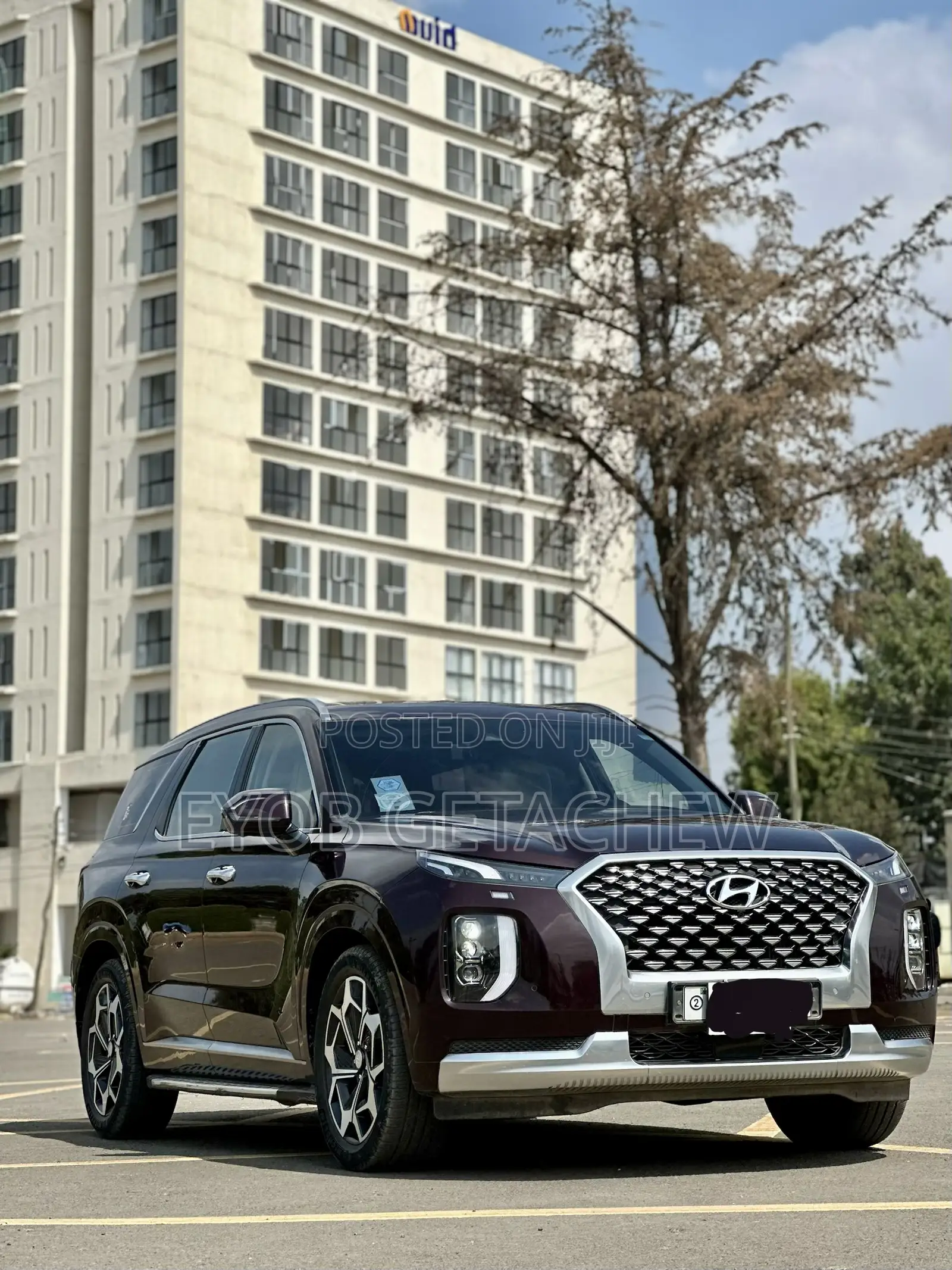 Hyundai Palisade 2022 Purple