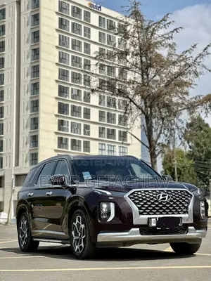 Hyundai Palisade 2022 Purple