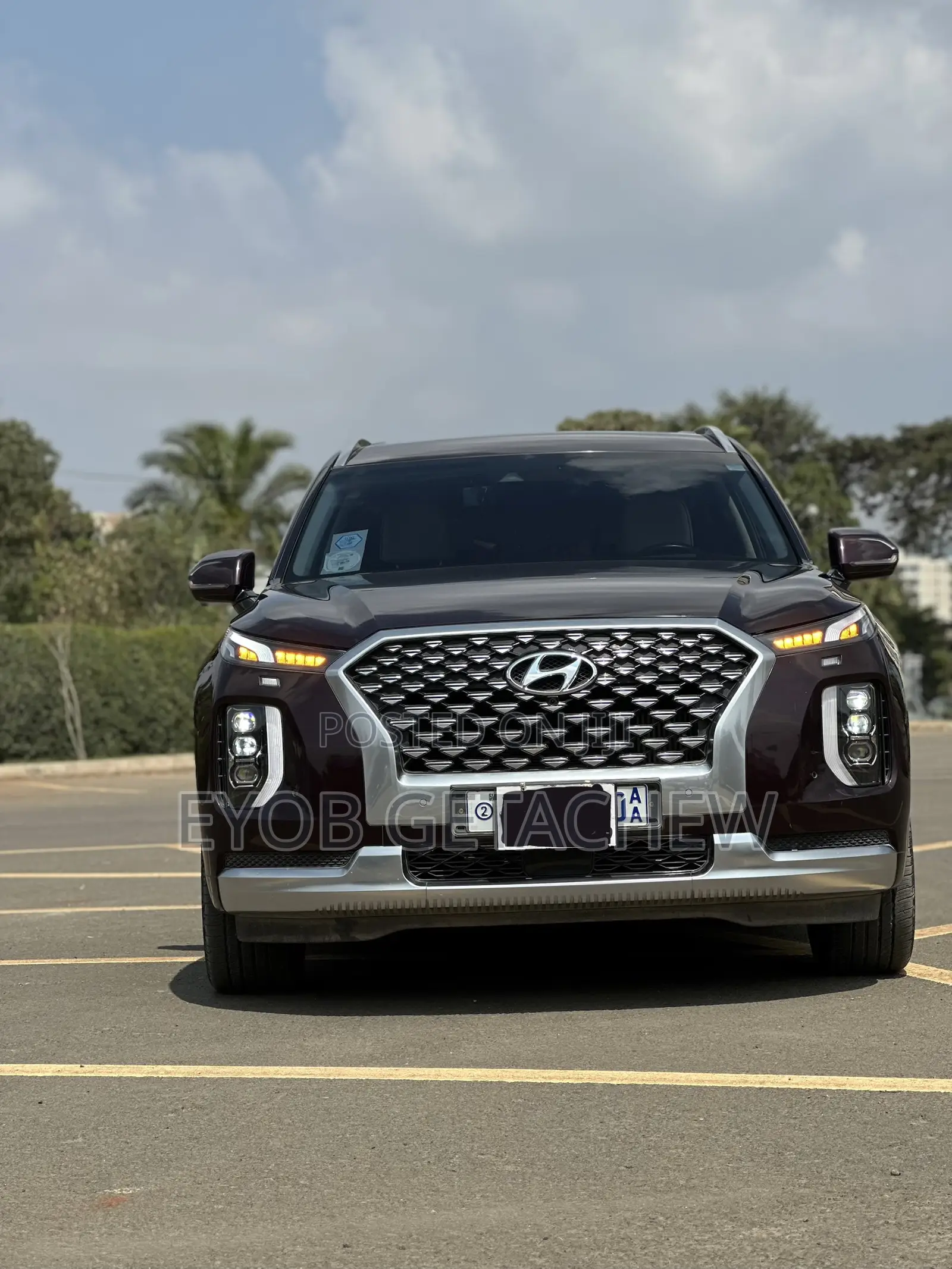 Hyundai Palisade 2022 Purple