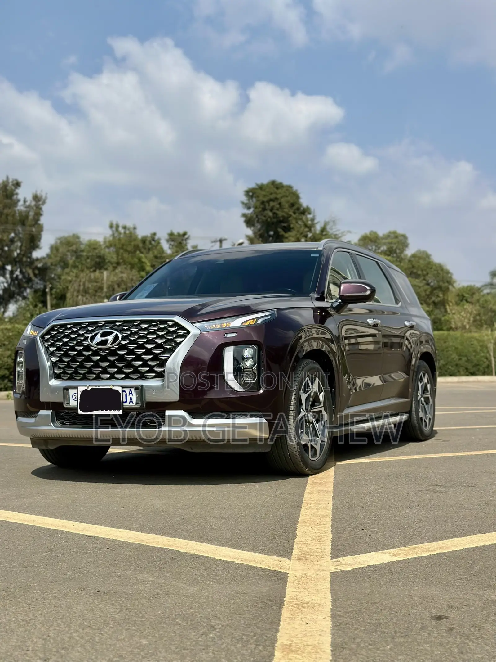 Hyundai Palisade 2022 Purple