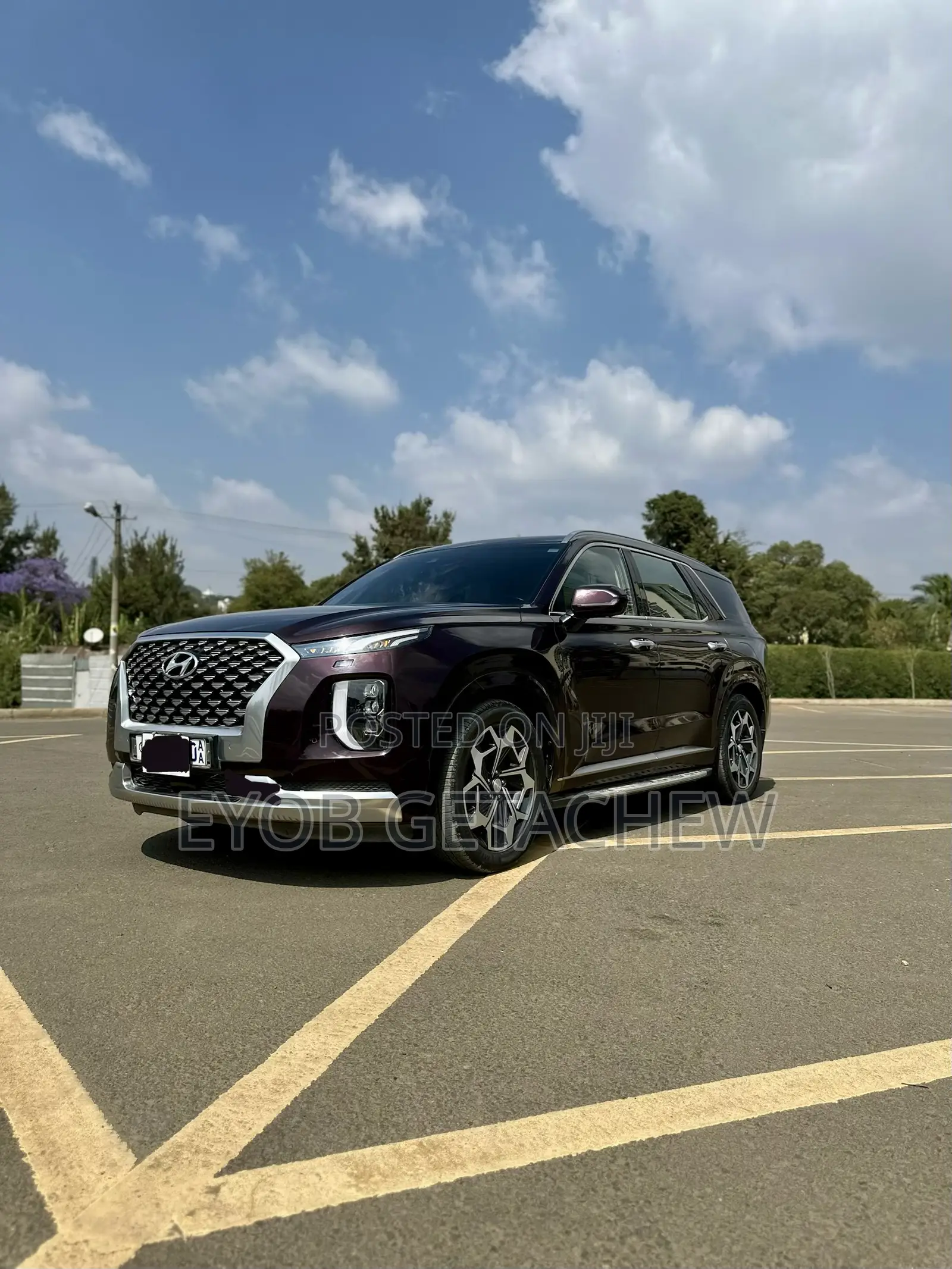 Hyundai Palisade 2022 Purple