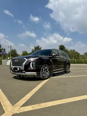 Hyundai Palisade 2022 Purple