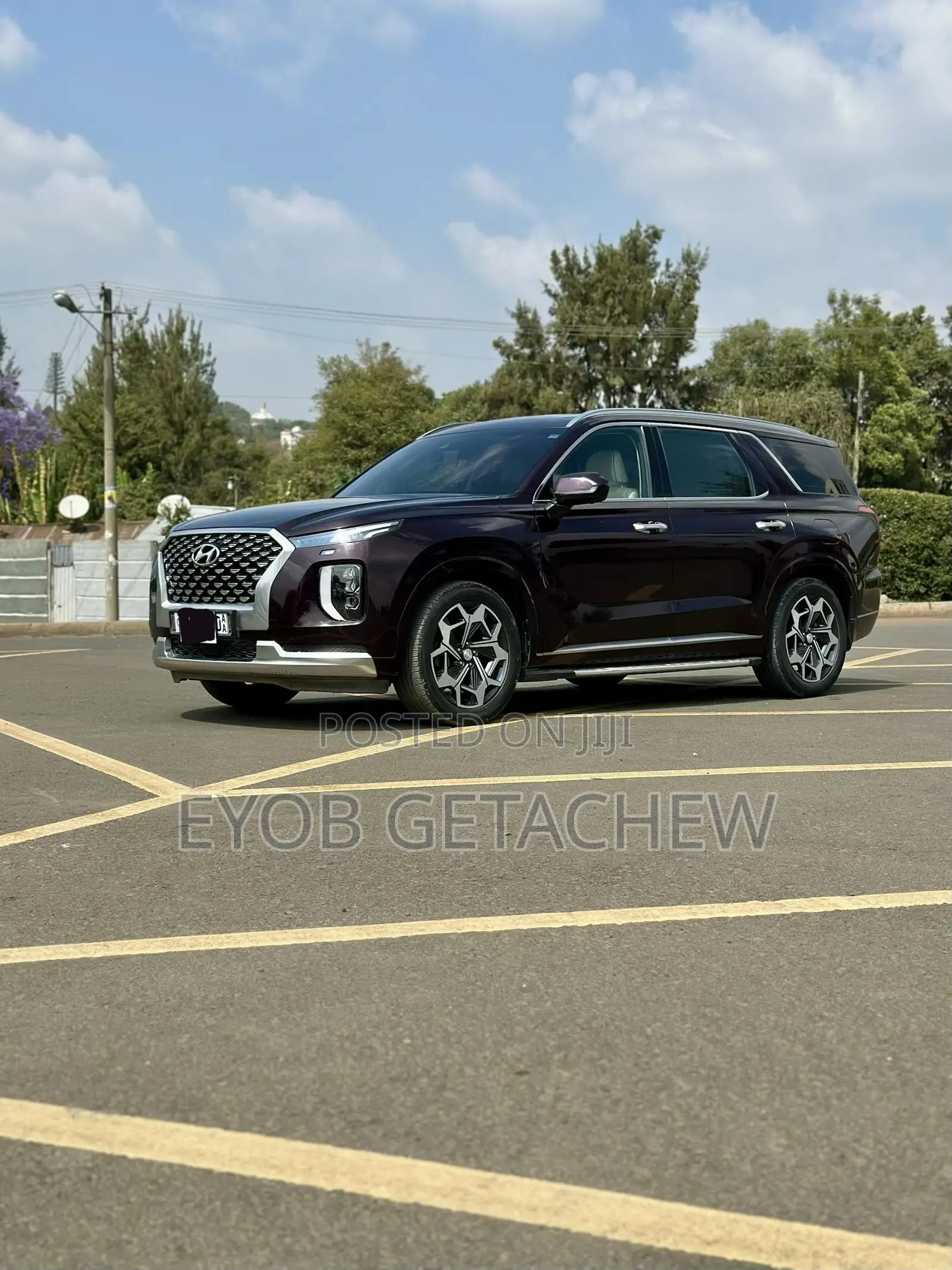 Hyundai Palisade 2022 Purple