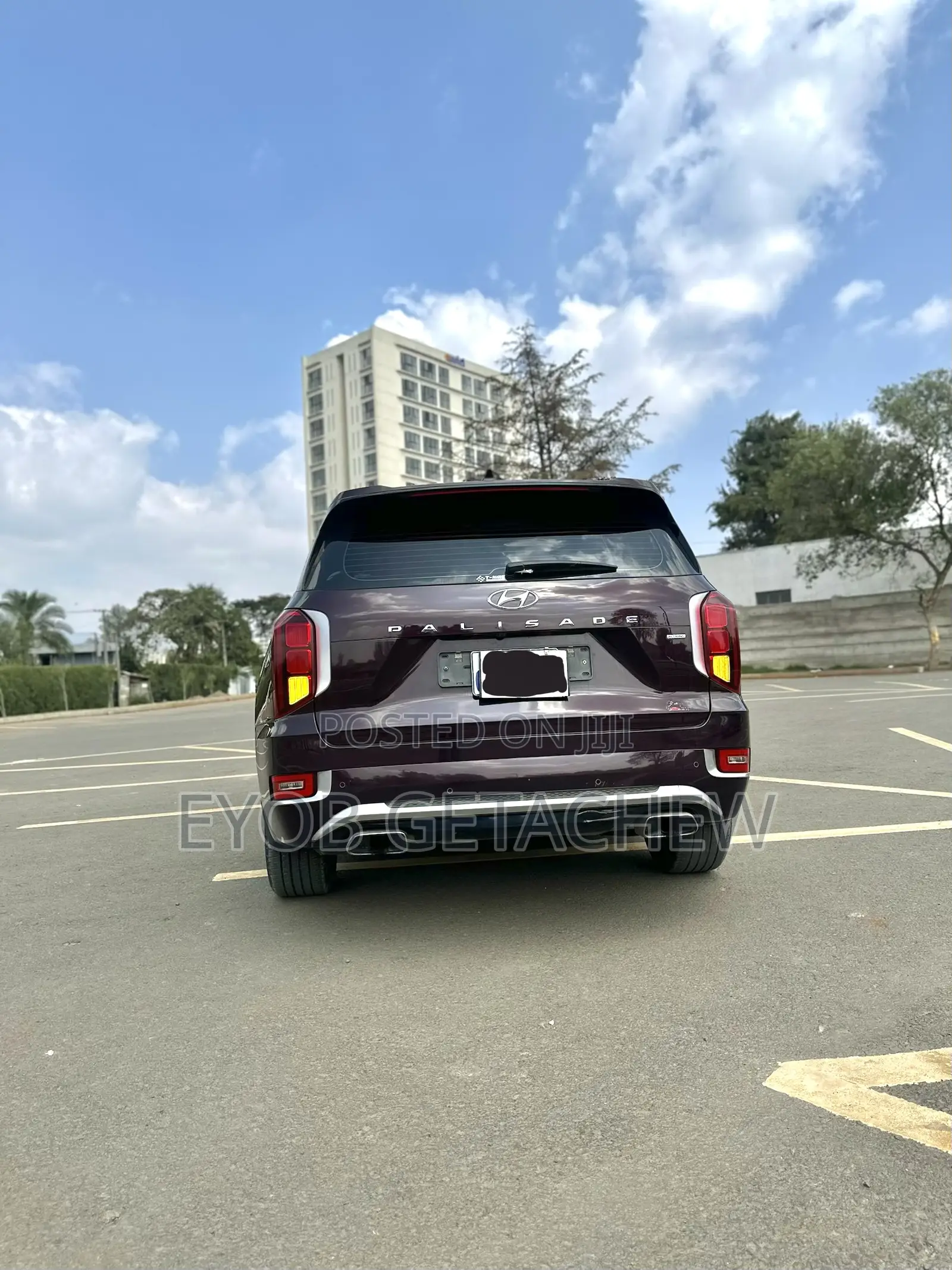 Hyundai Palisade 2022 Purple