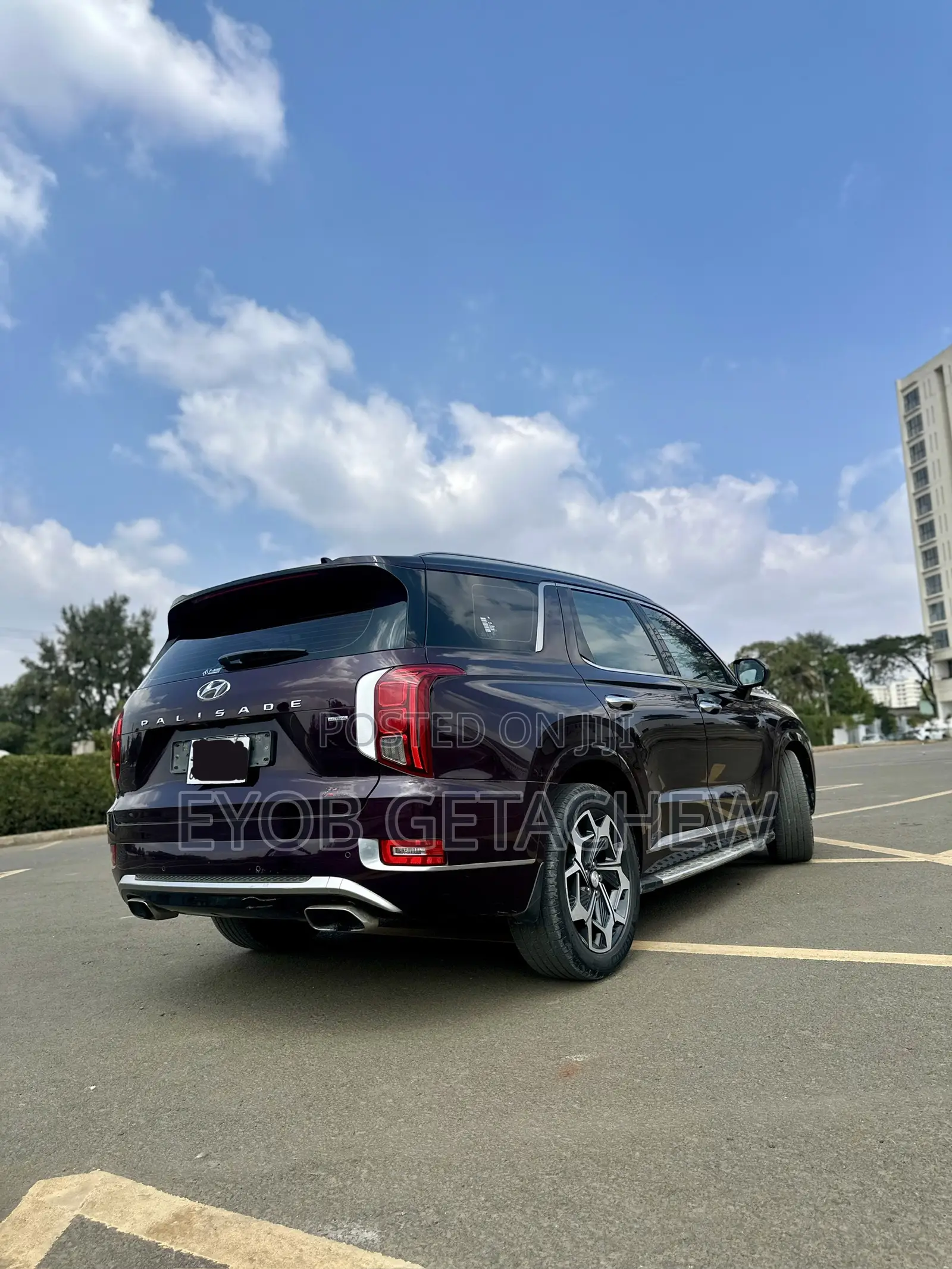 Hyundai Palisade 2022 Purple