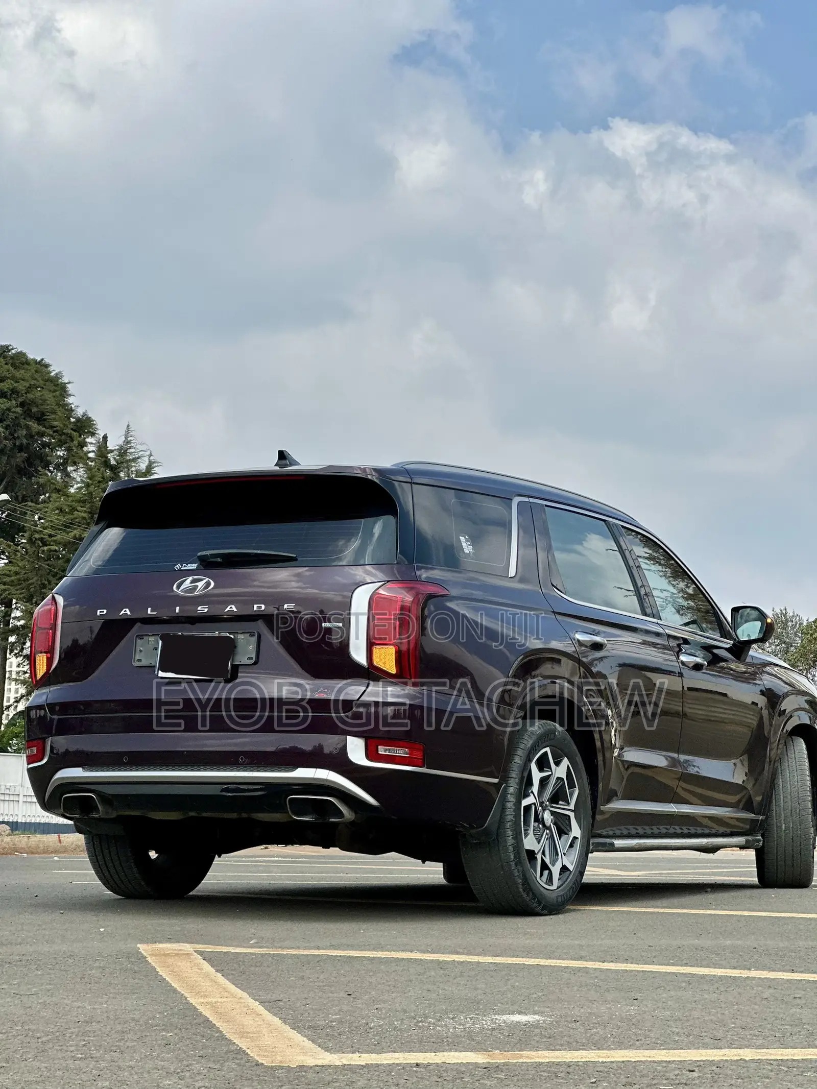 Hyundai Palisade 2022 Purple