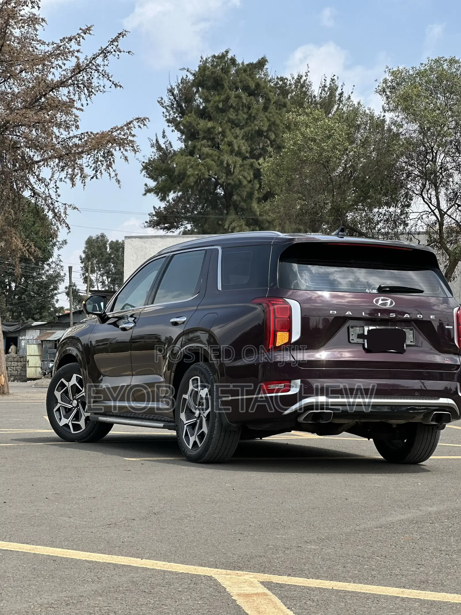 Hyundai Palisade 2022 Purple