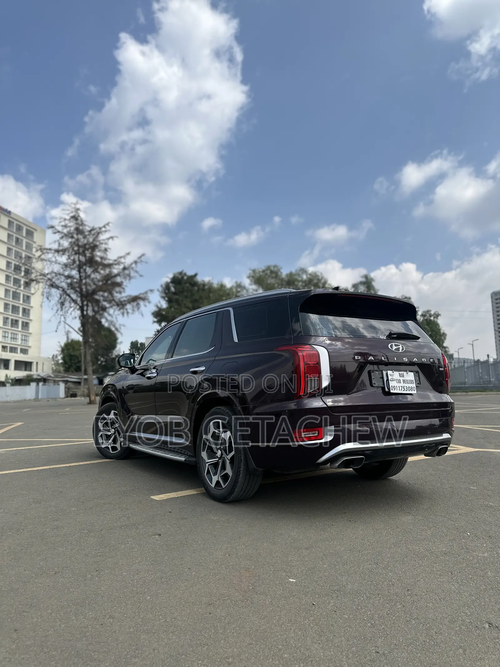 Hyundai Palisade 2022 Purple