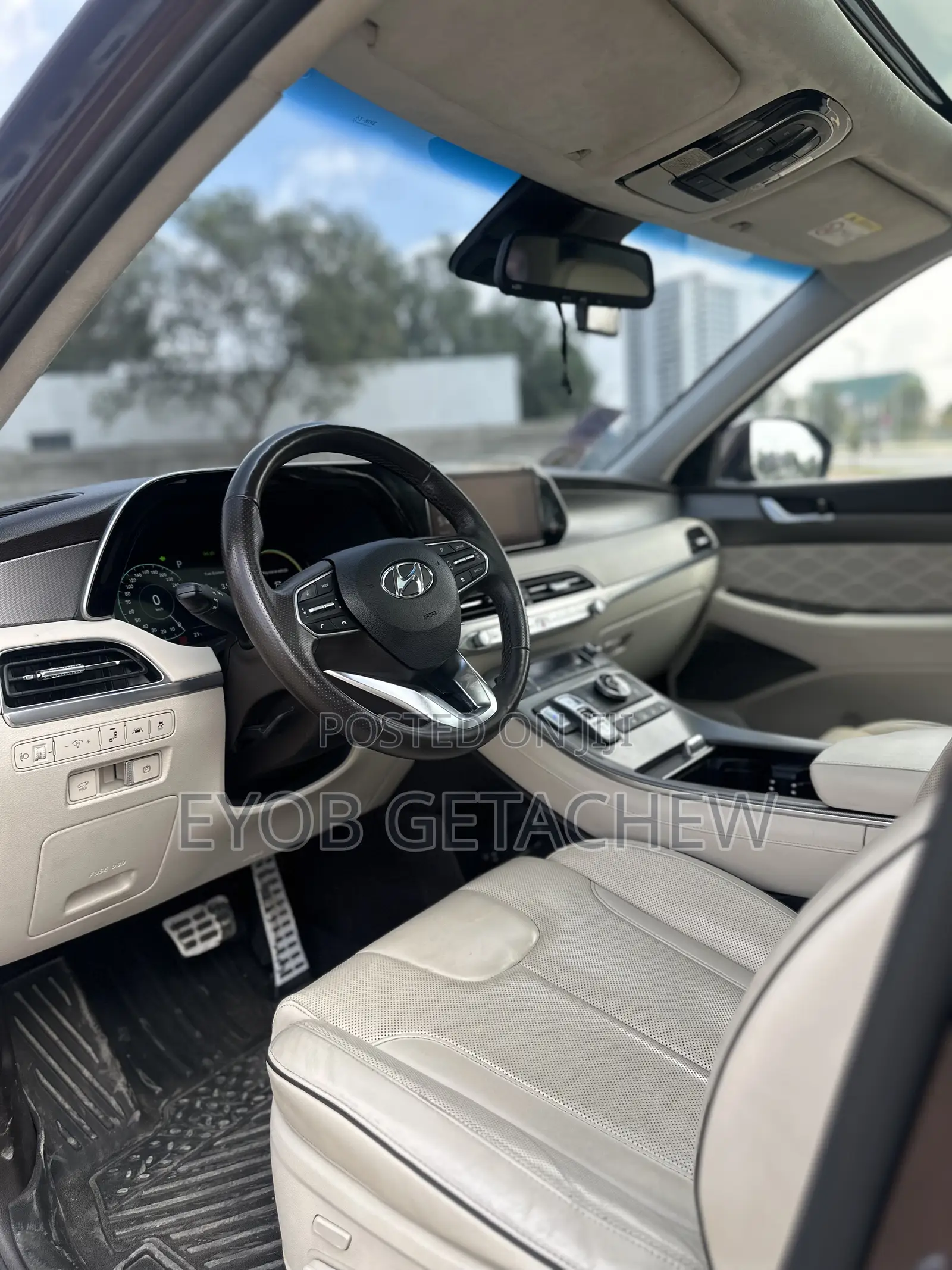 Hyundai Palisade 2022 Purple