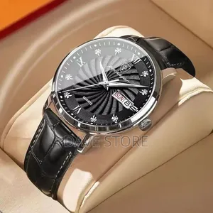 Poedagar Luxury Casual Watches