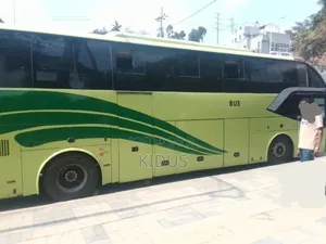 Bus 2019 Green