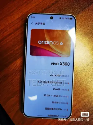 New Vivo X300 256 GB Blue