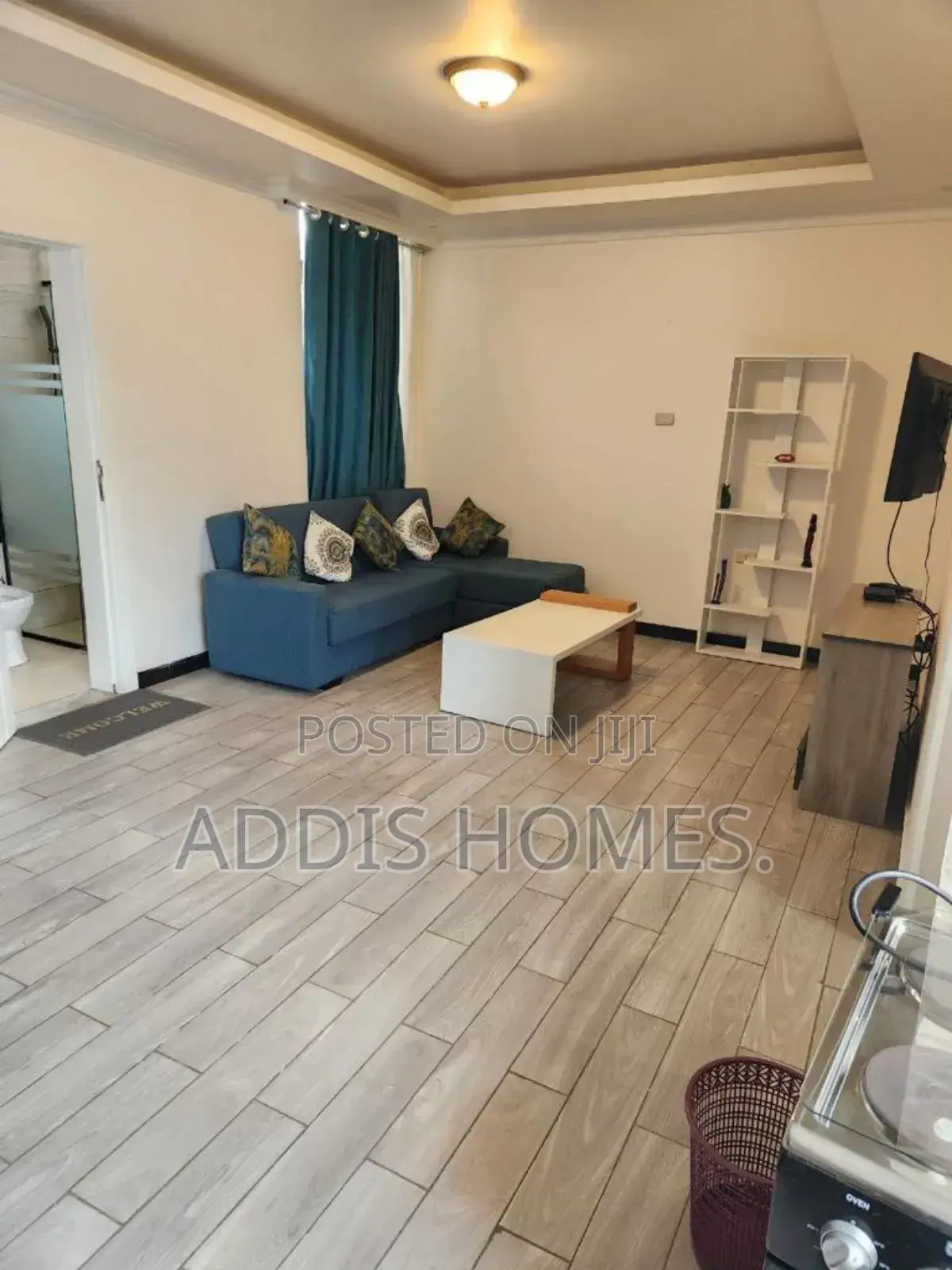 Furnished 1bdrm Apartment in Bole for rent
