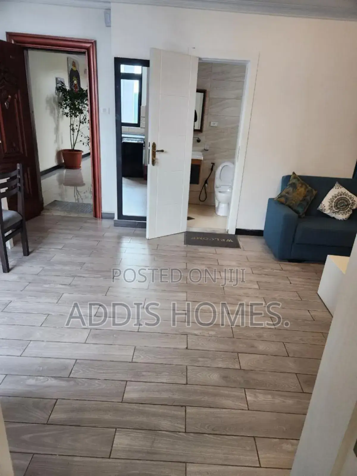 Furnished 1bdrm Apartment in Bole for rent