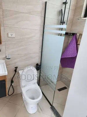 Furnished 1bdrm Apartment in Bole for rent