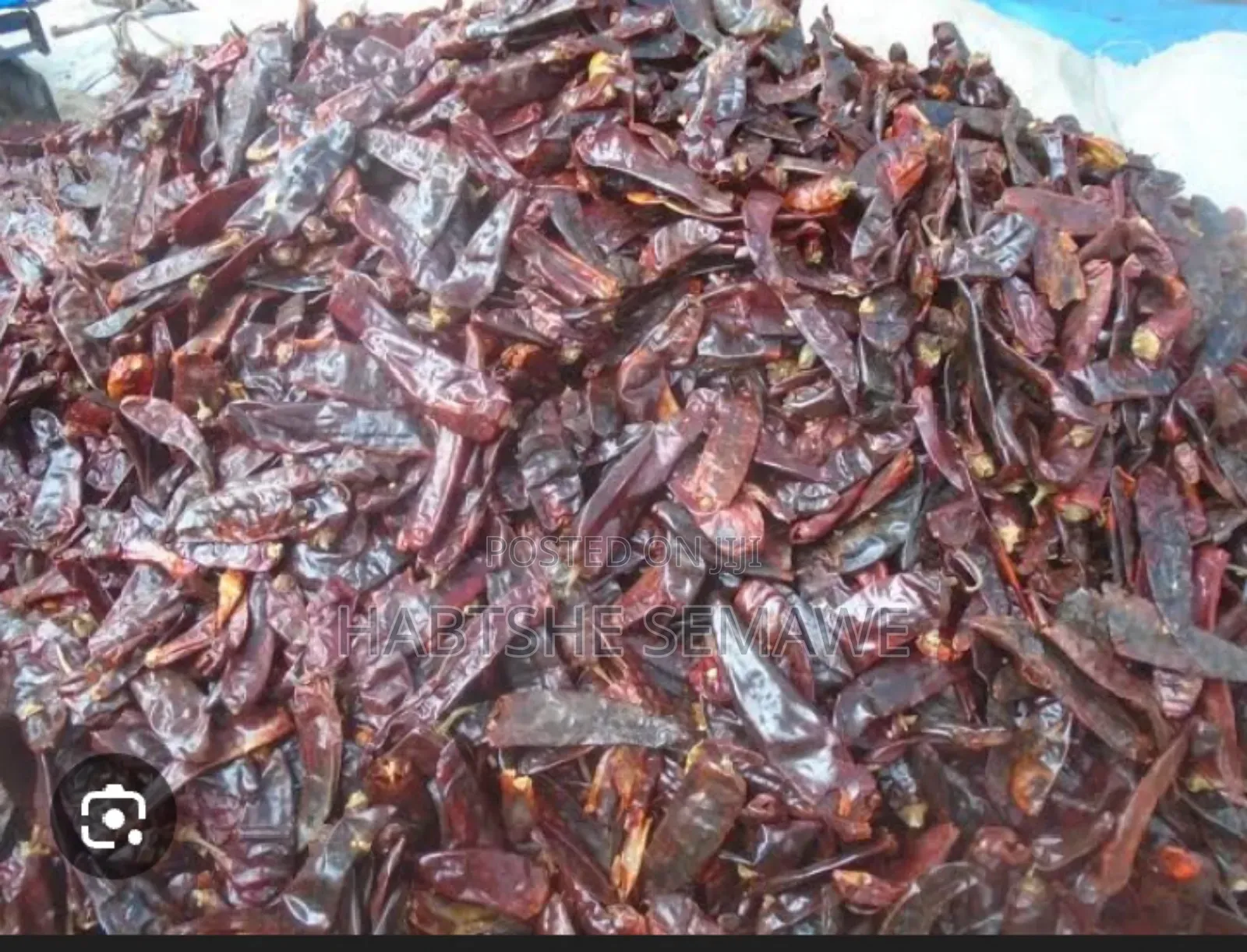 ቆንጆ የሆን የውልጋ በርበሬ