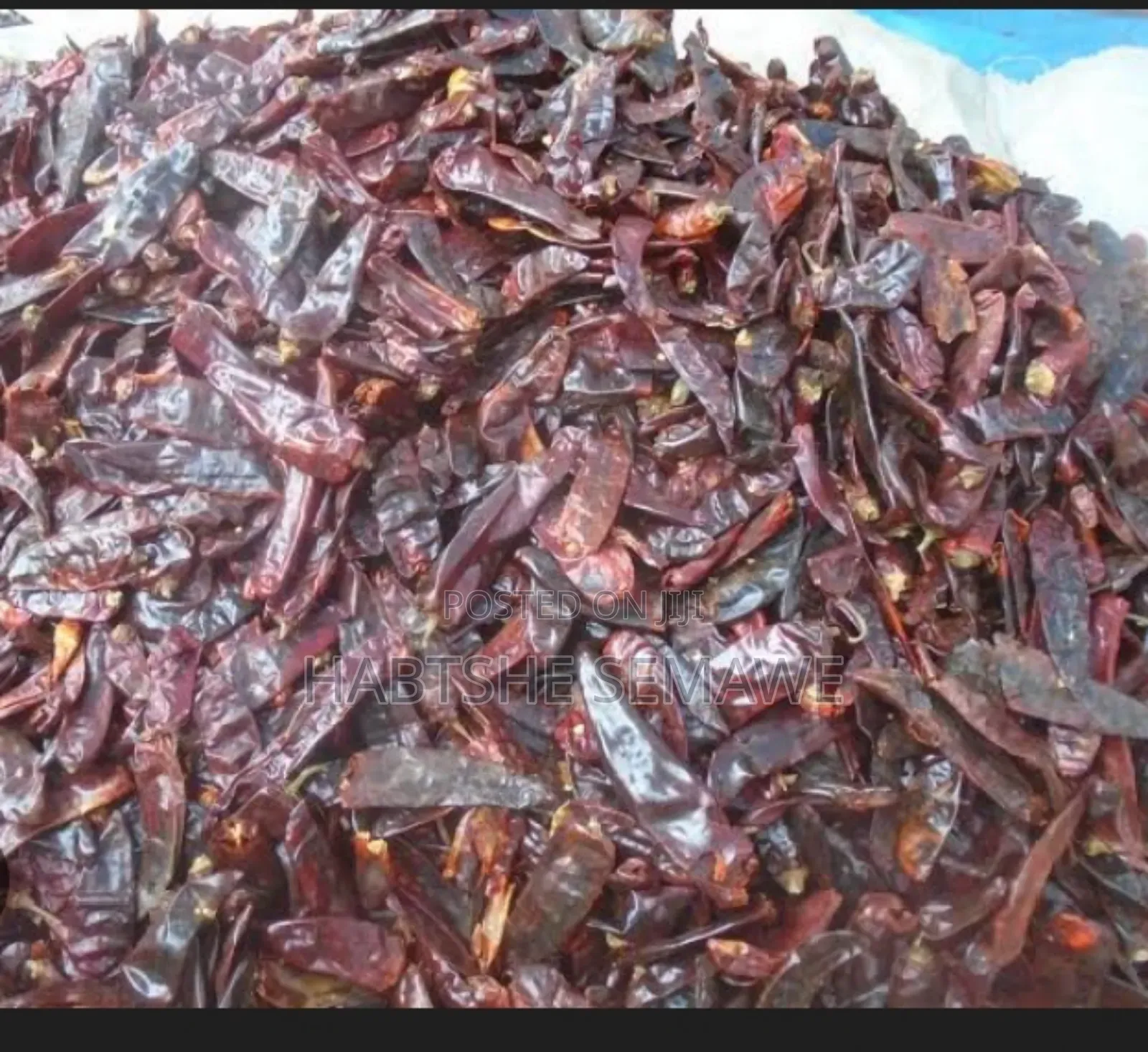 ቆንጆ የሆን የውልጋ በርበሬ