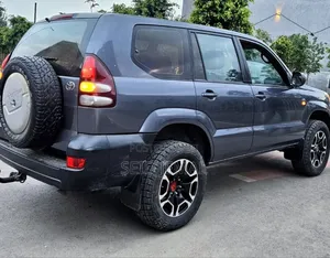 Toyota Land Cruiser Prado 2005 Gray