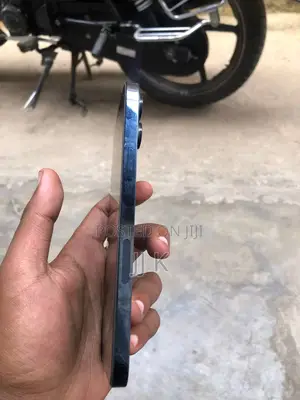 Apple iPhone 12 Pro Max 256 GB Blue