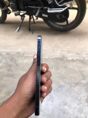 Apple iPhone 12 Pro Max 256 GB Blue