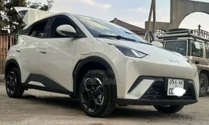 BYD Seagull 2025 Silver