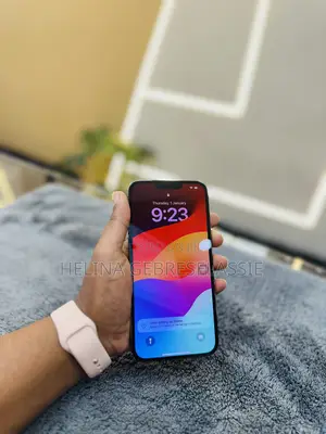 Apple iPhone 13 Pro Max 256 GB Black