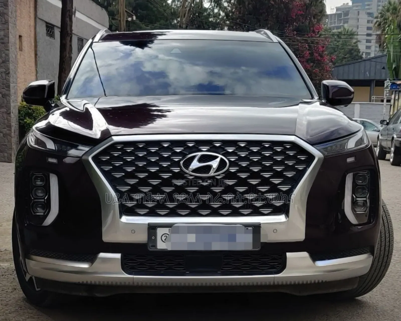 Hyundai Palisade 2022 Brown