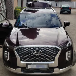 Hyundai Palisade 2022 Brown