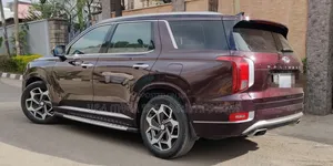 Hyundai Palisade 2022 Brown