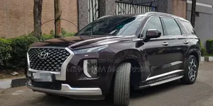 Hyundai Palisade 2022 Brown