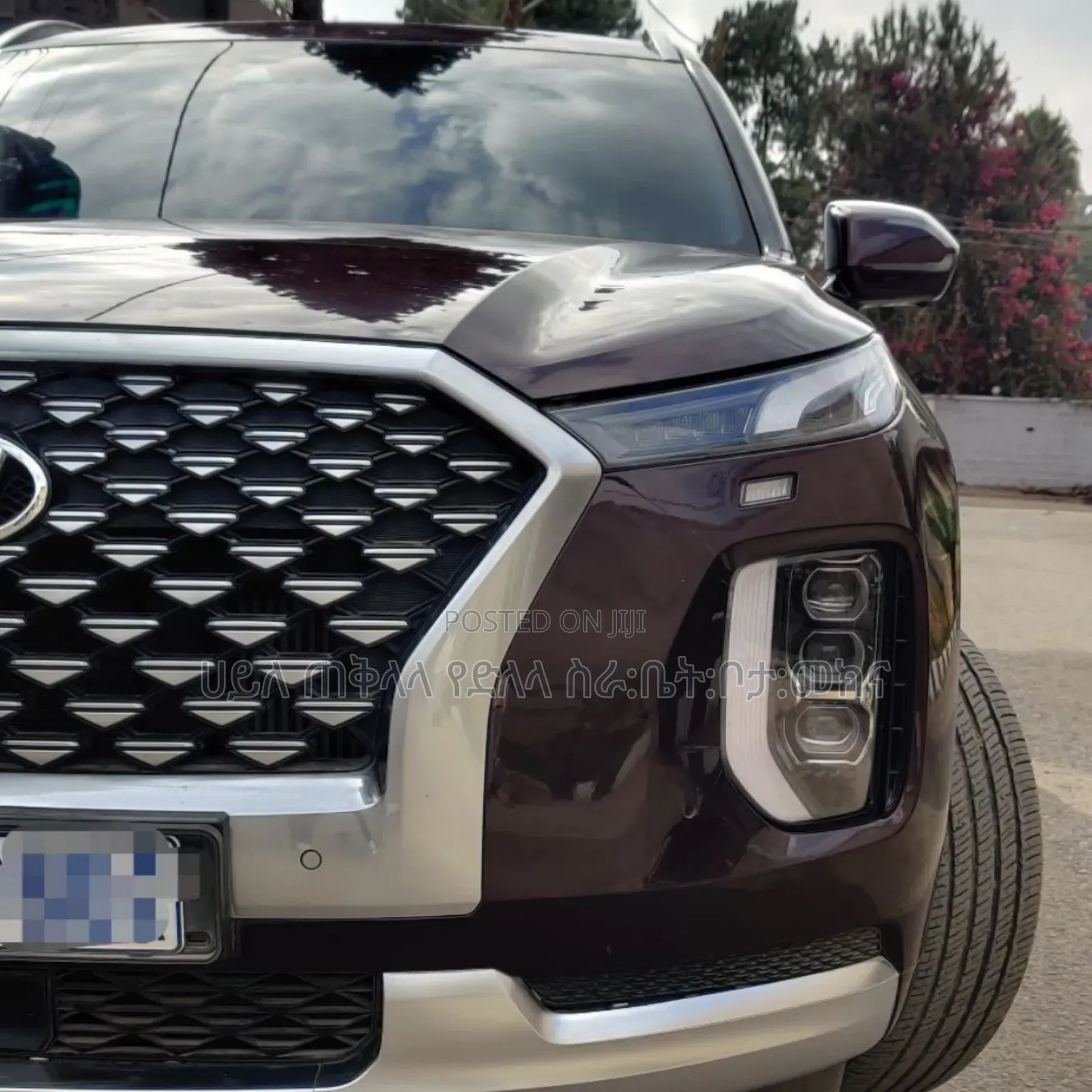 Hyundai Palisade 2022 Brown