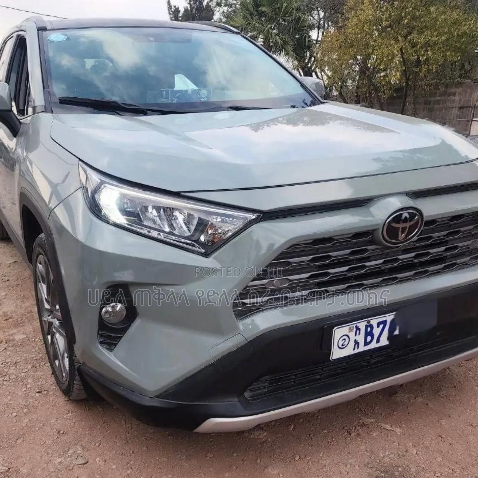 Toyota RAV4 2020 Blue