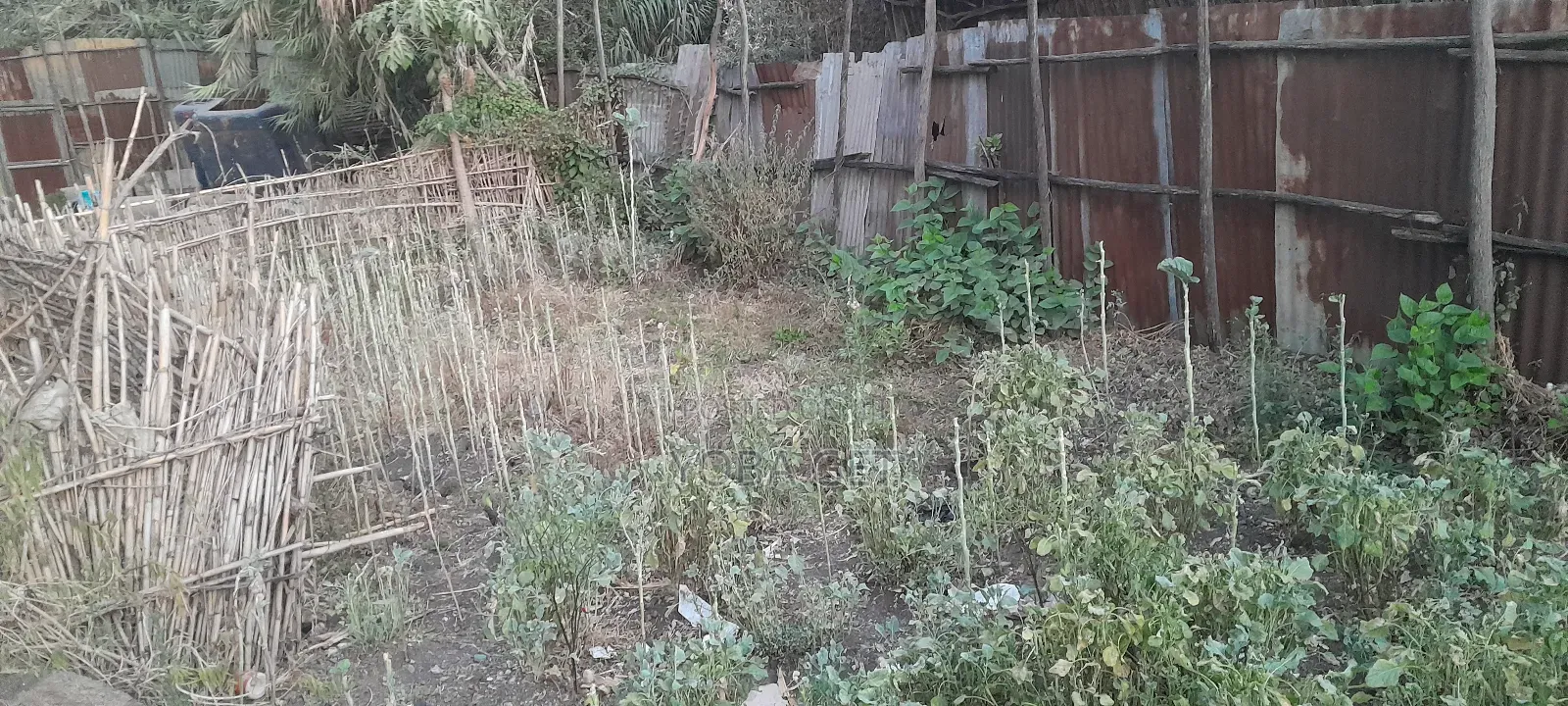 አስቸካይ የሚሸጥ መሬት