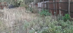 አስቸካይ የሚሸጥ መሬት