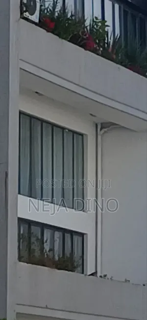 Furnished 3bdrm Apartment in Re, Lideta for sale