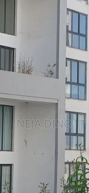 Furnished 3bdrm Apartment in Re, Lideta for sale