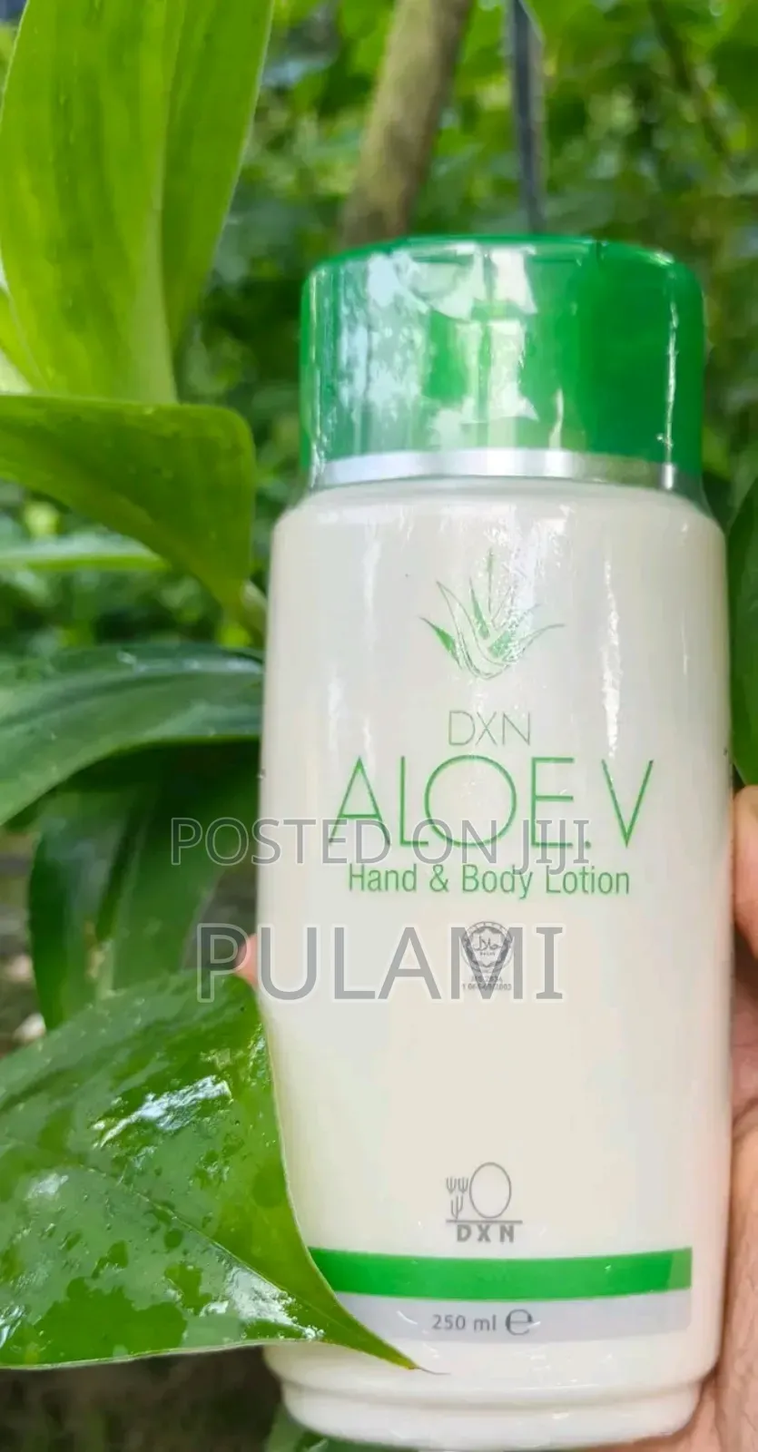 DXN Aloe Vera Hand Body Lotion